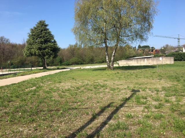 terreno edificabile in vendita a Cavaria con Premezzo