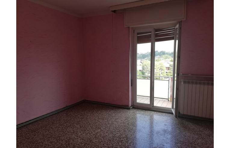 appartamento in vendita a Cavaria con Premezzo