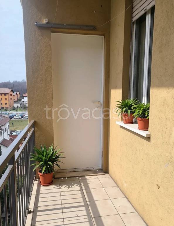 immagine annuncio 0 di 15