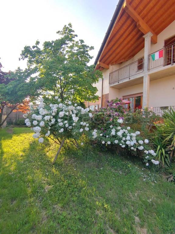 appartamento in vendita a Cavaria con Premezzo