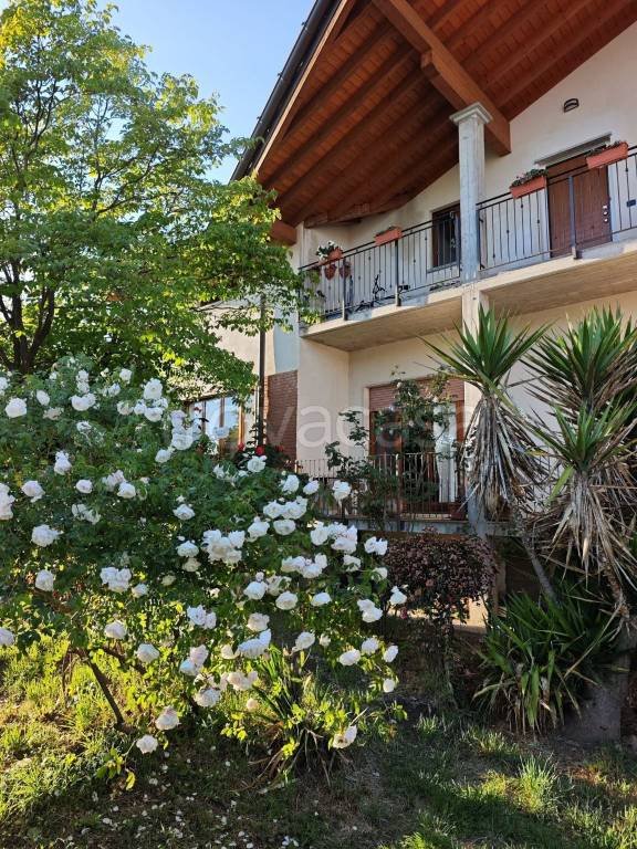 appartamento in vendita a Cavaria con Premezzo