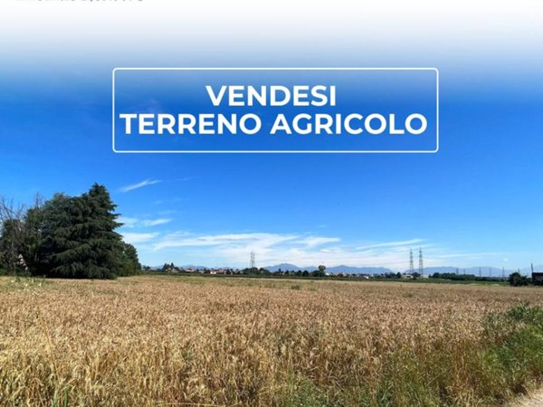 terreno agricolo in vendita a Cislago in zona Massina