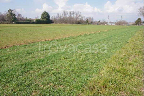 terreno agricolo in vendita a Cislago in zona Santa Maria