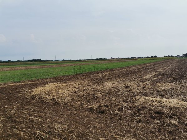 terreno agricolo in vendita a Cislago in zona Mombello