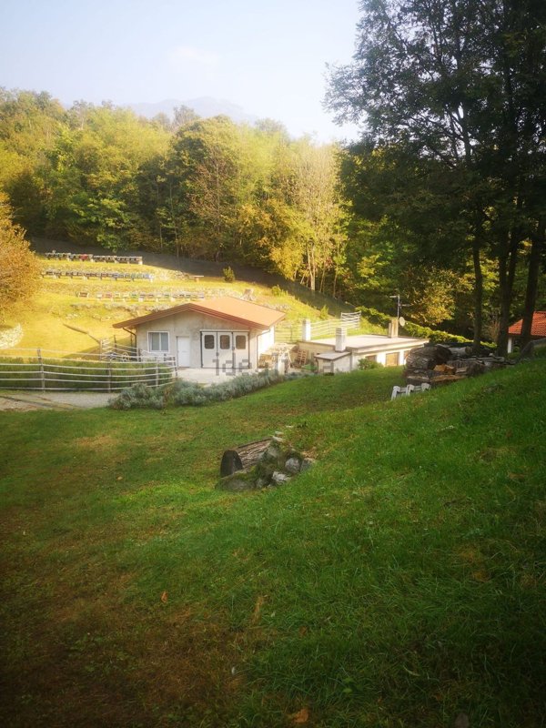 pentavano in vendita a Cittiglio