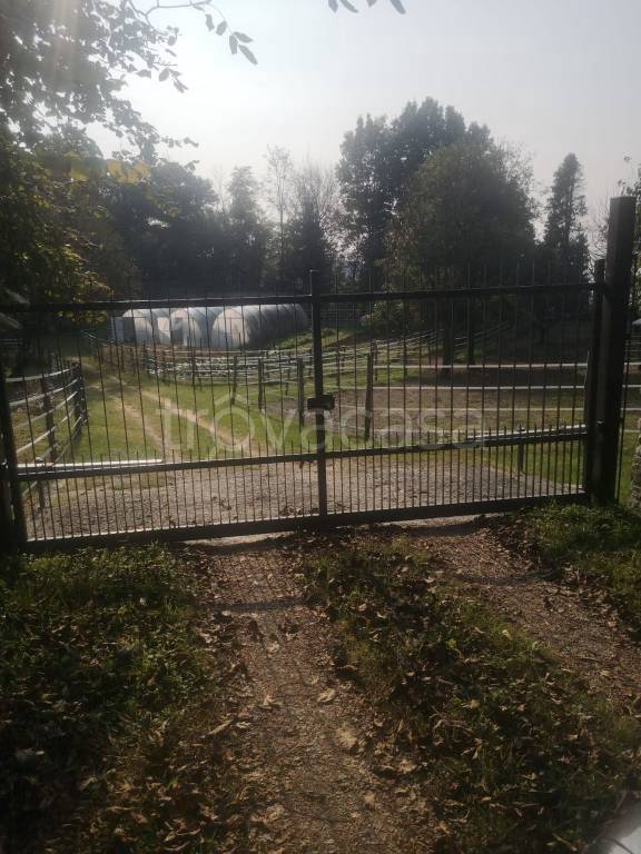 azienda agricola in vendita a Cittiglio in zona Vararo