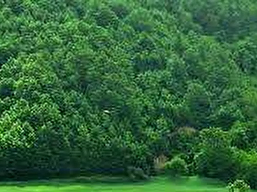 terreno agricolo in vendita a Cocquio-Trevisago