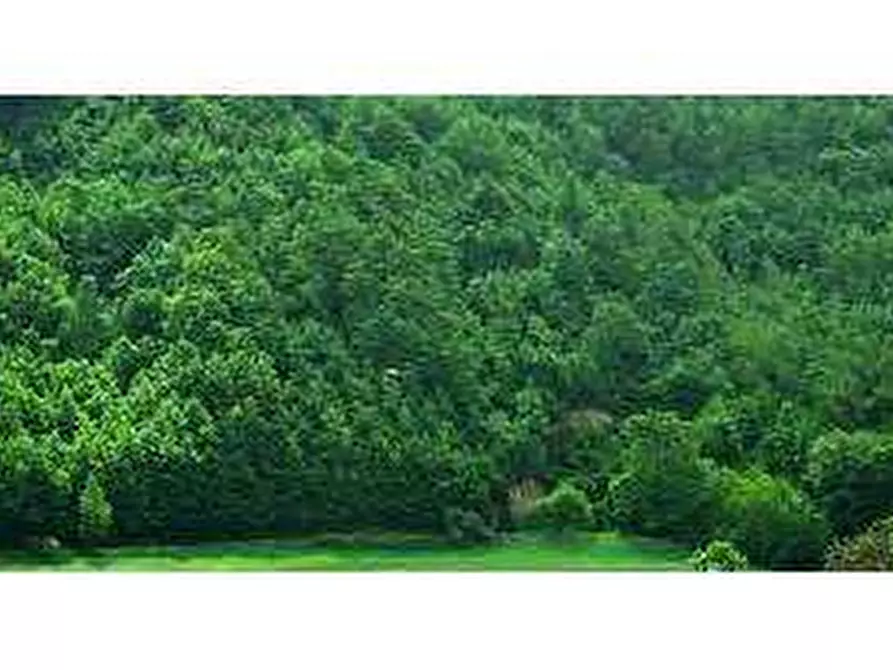 terreno edificabile in vendita a Cocquio-Trevisago