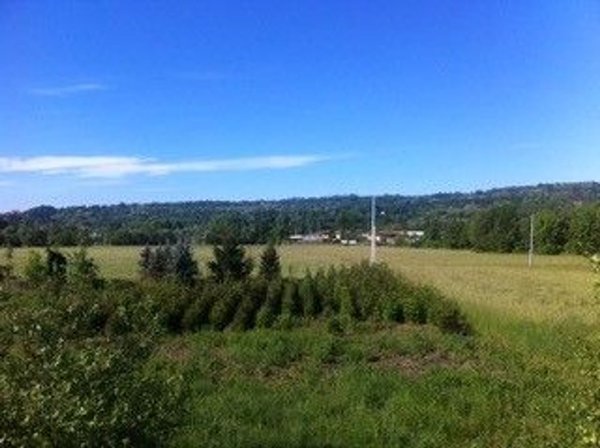 terreno edificabile in vendita a Cocquio-Trevisago