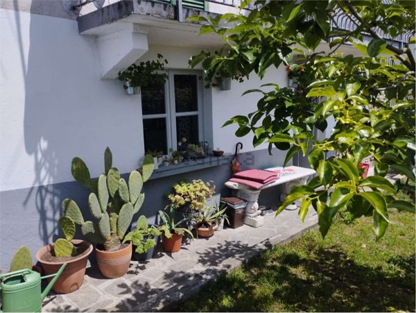 pentavano in vendita a Cocquio-Trevisago