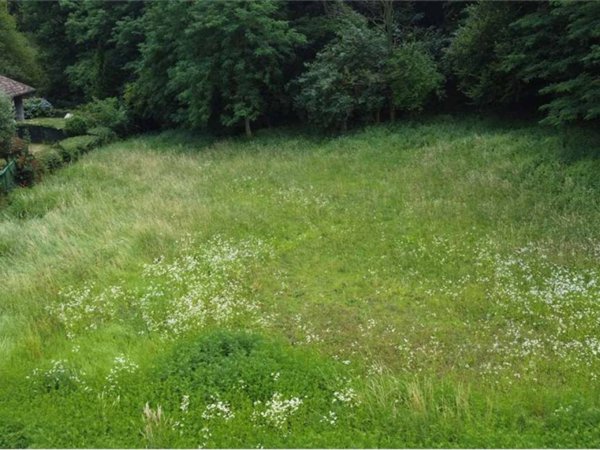 terreno agricolo in vendita a Cocquio-Trevisago