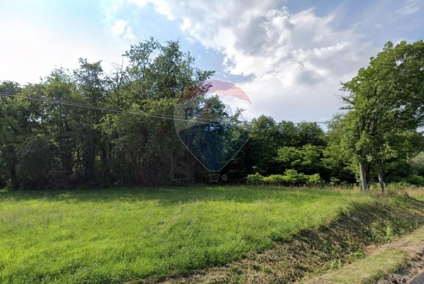 terreno agricolo in vendita a Comabbio