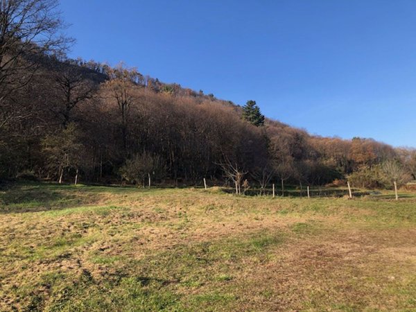terreno edificabile in vendita a Comabbio