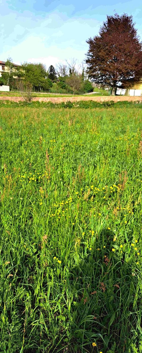 casa indipendente in vendita a Comerio in zona Muro