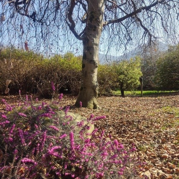 casa indipendente in vendita a Cremenaga