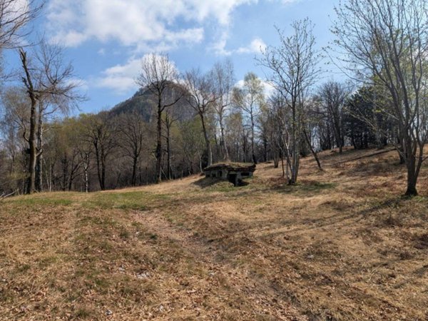 terreno agricolo in vendita a Cuasso al Monte in zona Alpe Tedesco