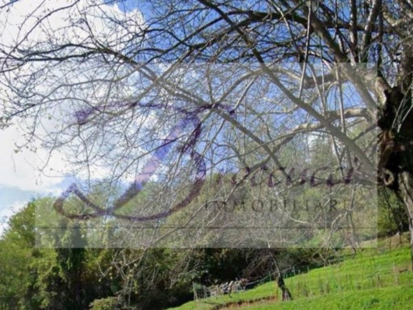 terreno edificabile in vendita a Cuasso al Monte in zona Cuasso al Piano