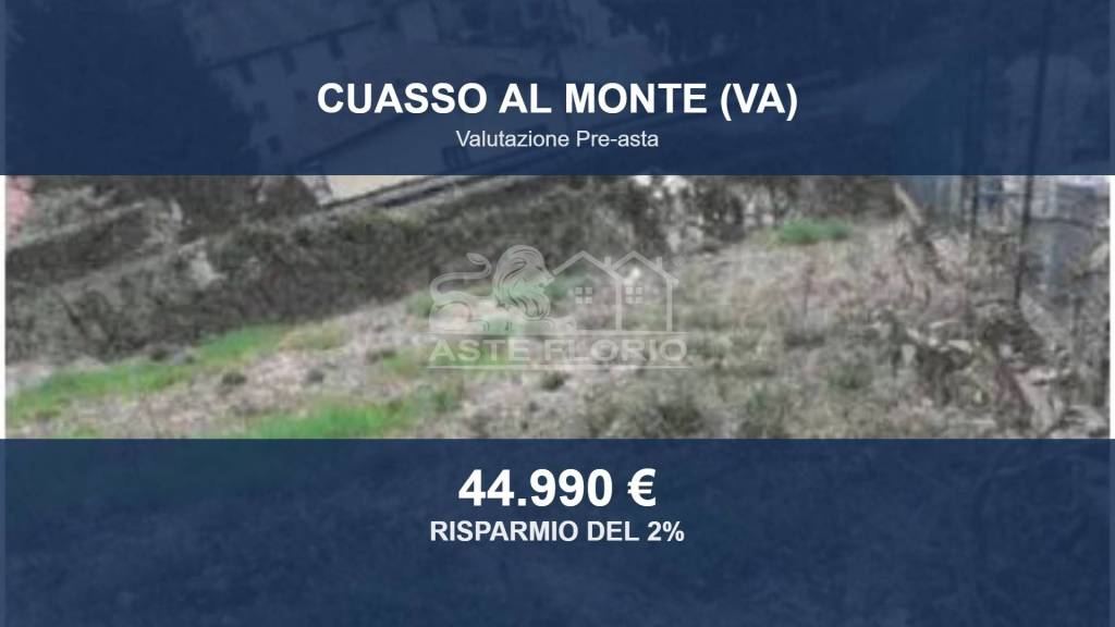terreno agricolo in vendita a Cuasso al Monte in zona Borgnana