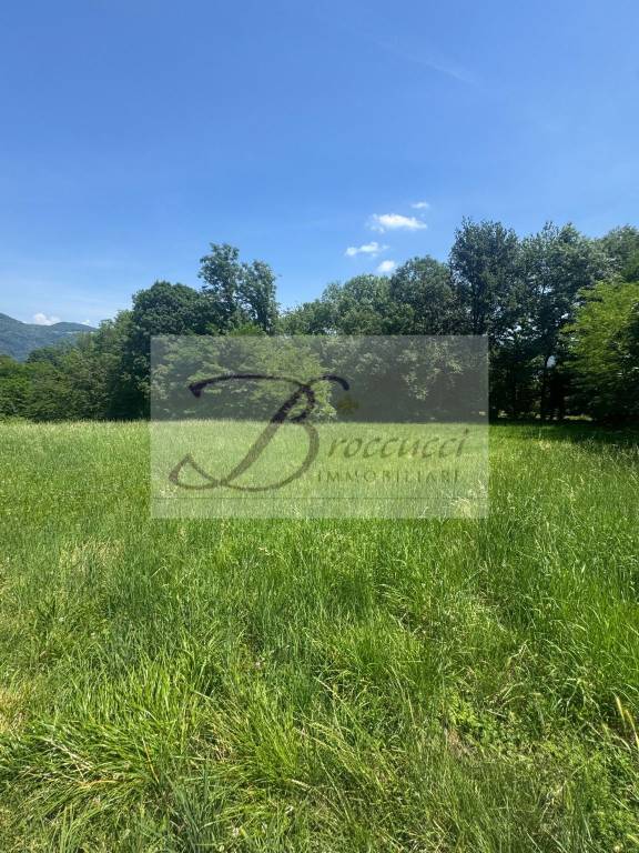 terreno agricolo in vendita a Cuasso al Monte in zona Borgnana