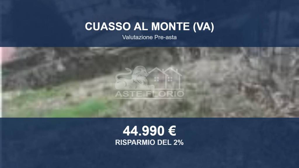 terreno in vendita a Cuasso al Monte in zona Borgnana