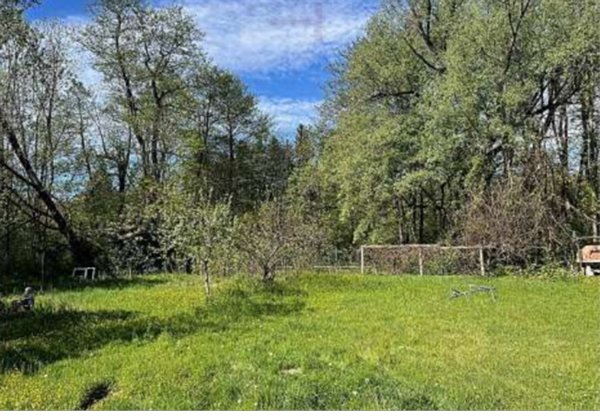 terreno agricolo in vendita a Cugliate-Fabiasco