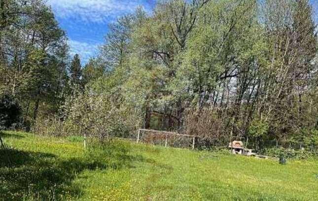 terreno agricolo in vendita a Cugliate-Fabiasco