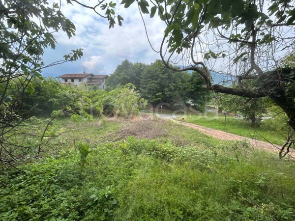 terreno agricolo in vendita a Cunardo