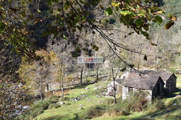 casa indipendente in vendita a Curiglia con Monteviasco in zona Piero