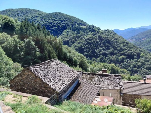 casa indipendente in vendita a Curiglia con Monteviasco in zona Curiglia