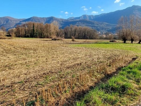 terreno agricolo in vendita a Cuveglio