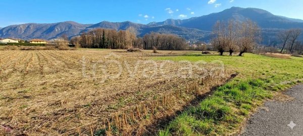terreno agricolo in vendita a Cuveglio
