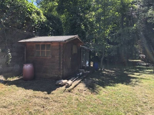 terreno agricolo in vendita a Dumenza in zona Runo