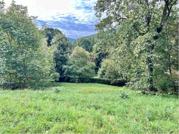 terreno edificabile in vendita a Dumenza in zona Runo