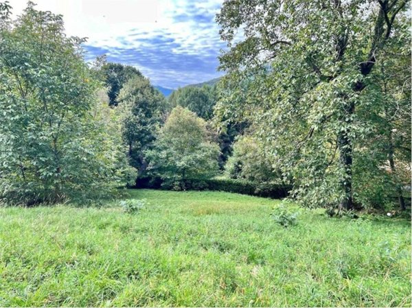 terreno edificabile in vendita a Dumenza in zona Runo