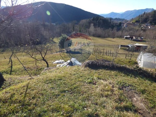 terreno edificabile in vendita a Dumenza in zona Runo