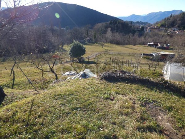 terreno edificabile in vendita a Dumenza in zona Runo