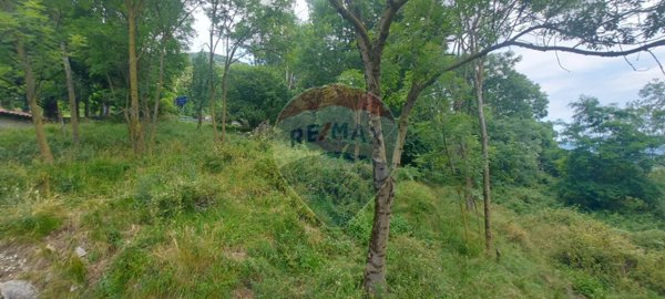 terreno edificabile in vendita a Duno