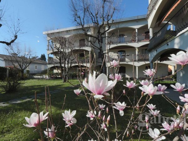 appartamento in vendita a Fagnano Olona