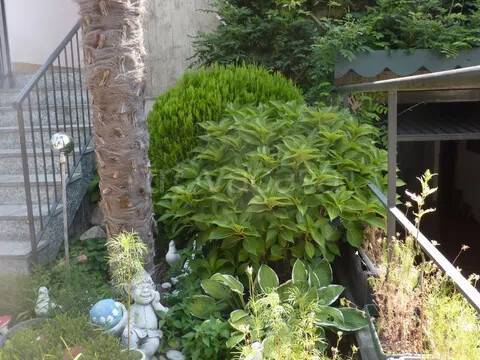 casa indipendente in vendita a Fagnano Olona