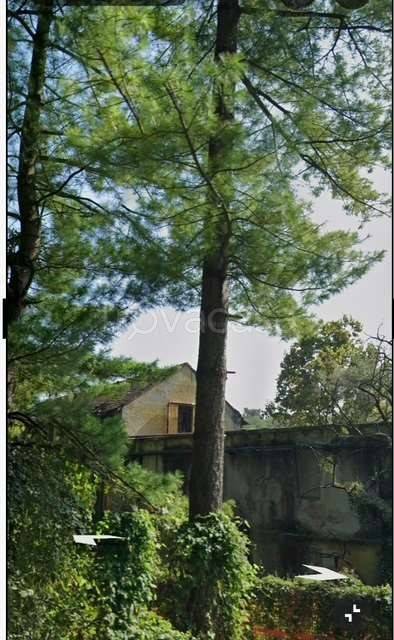 appartamento in vendita a Fagnano Olona