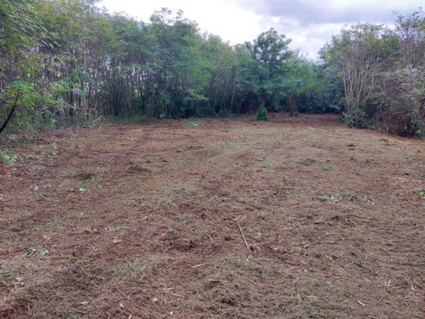 terreno agricolo in vendita a Gallarate in zona Crenna