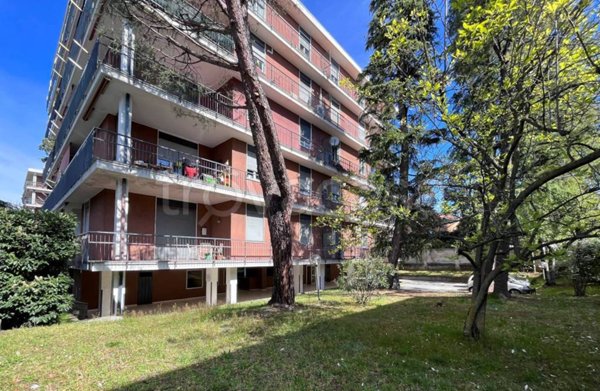 appartamento in vendita a Gallarate in zona Sciarè