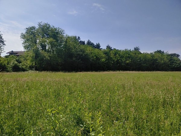 terreno agricolo in vendita a Gallarate in zona Ronchi