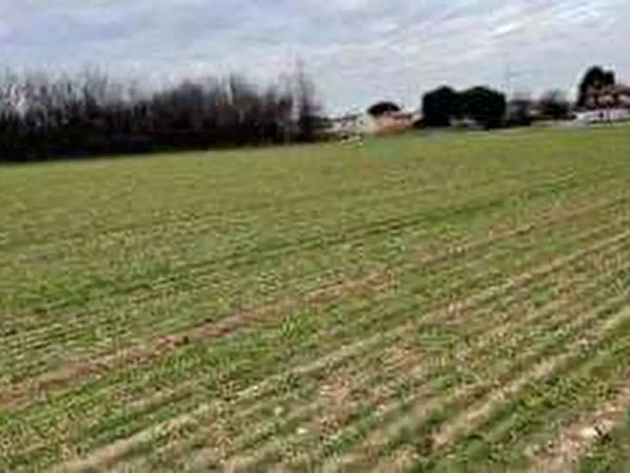 terreno agricolo in vendita a Gallarate