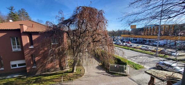 appartamento in vendita a Gallarate