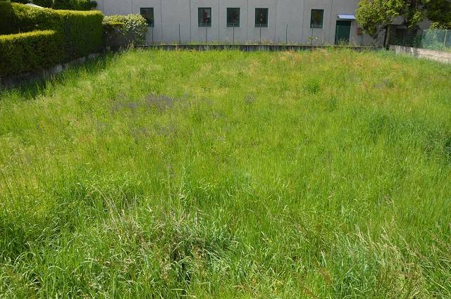 terreno edificabile in vendita a Gallarate in zona Arnate