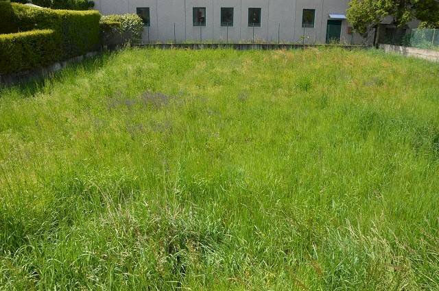 terreno edificabile in vendita a Gallarate in zona Arnate