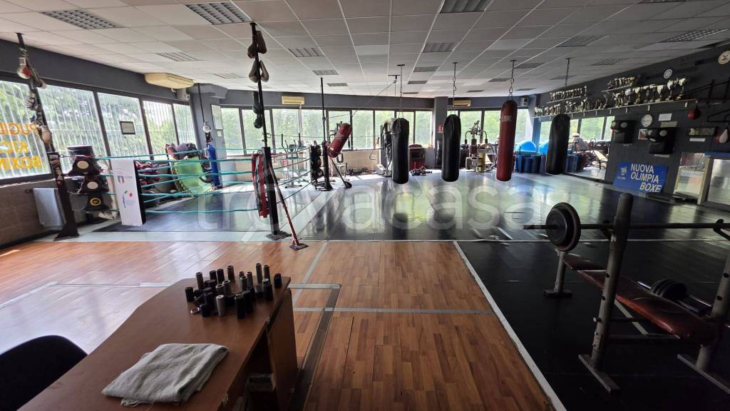 negozio in vendita a Gallarate in zona Crenna