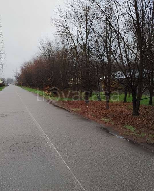 terreno agricolo in vendita a Gallarate in zona Madonna in Campagna