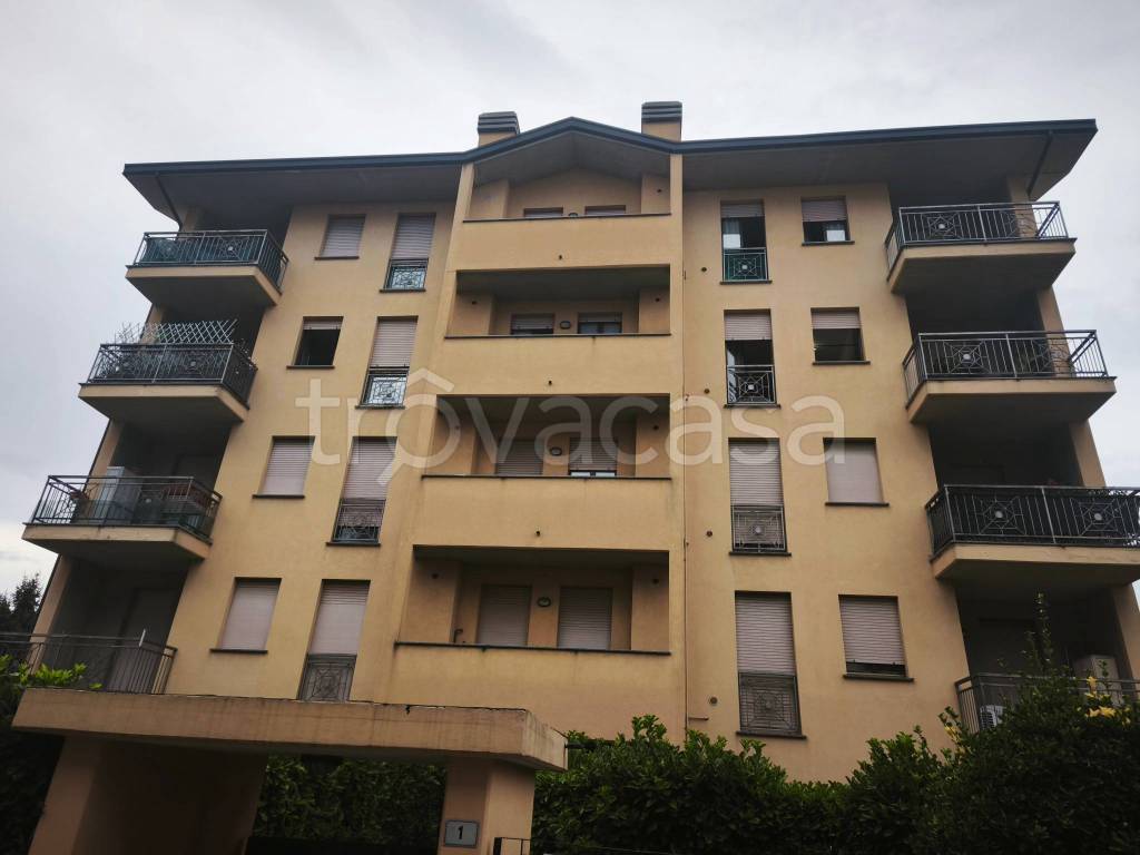 appartamento in vendita a Gallarate in zona Sciarè
